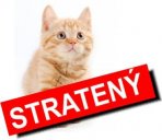 Stratení a nájdený